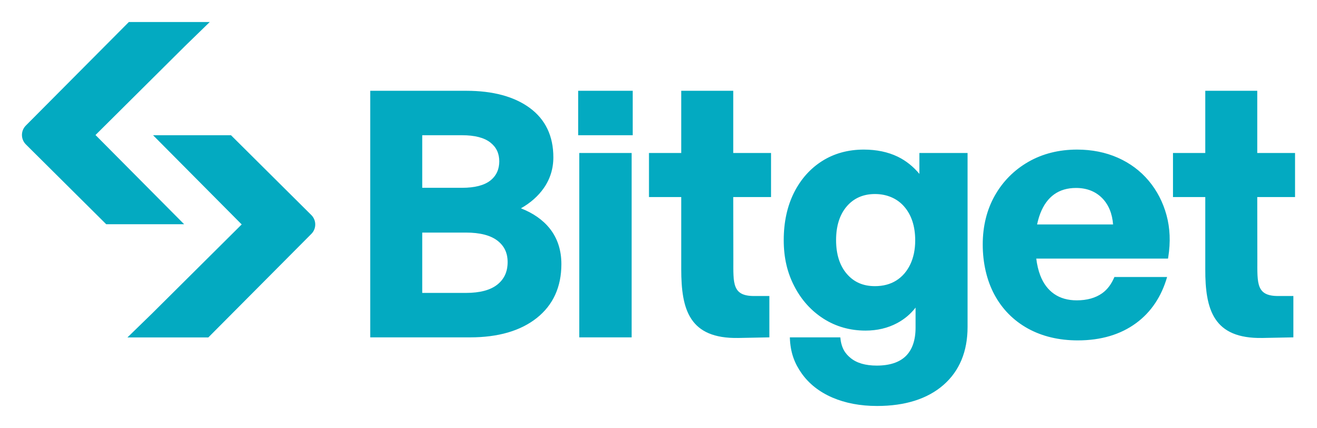Partner Logo